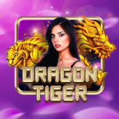 Dragon Tiger casino app live casino